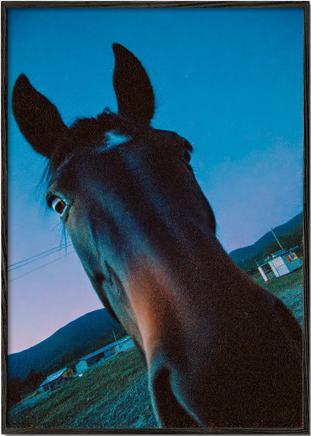 Artwork horse close-up at dusk