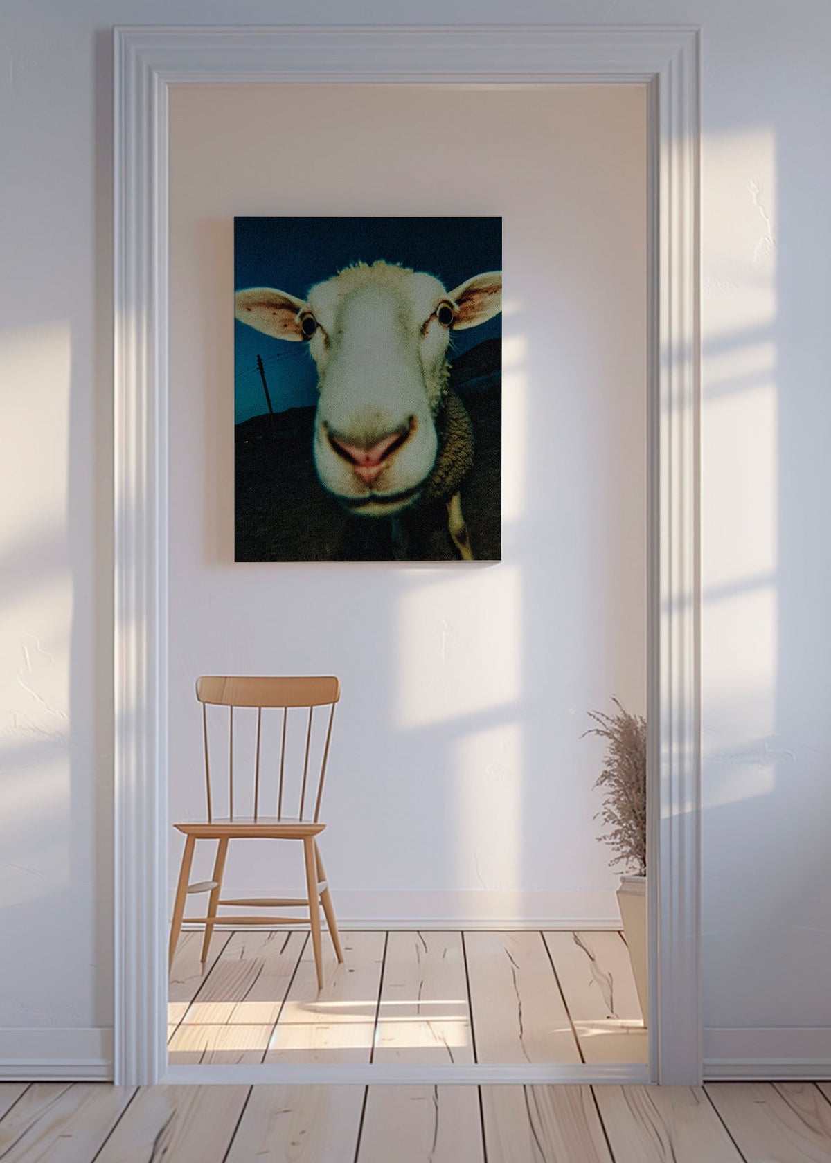 Sheep portrait close-up