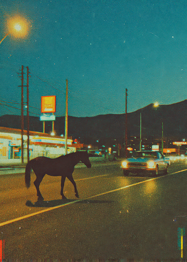 Horse at night on road