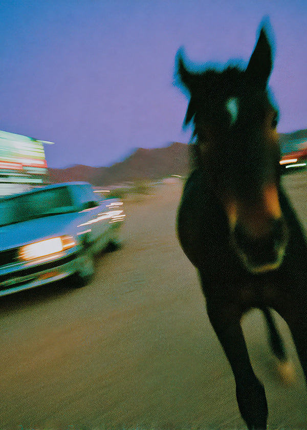 Artwork horse in motion at dusk