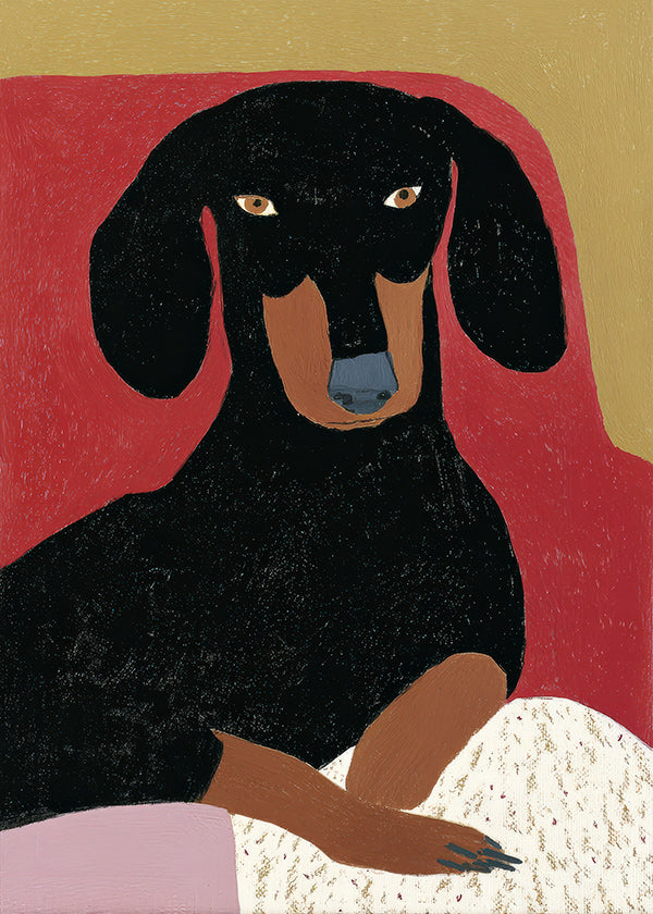 Dachshund illustration portrait