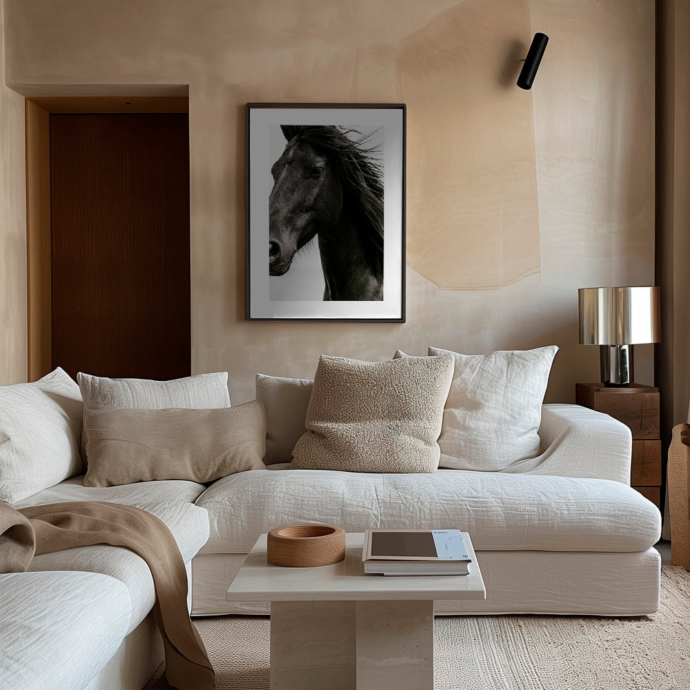 Horse portrait photograph