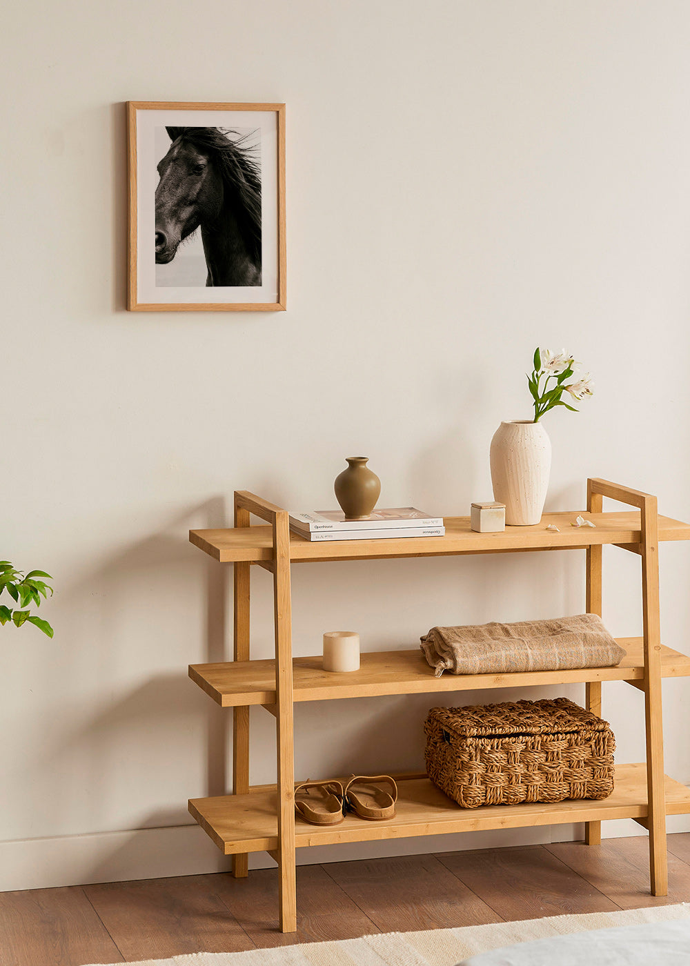 Horse portrait photograph