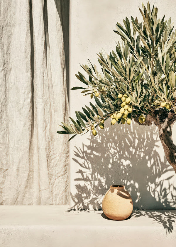 Botanical print olive branch