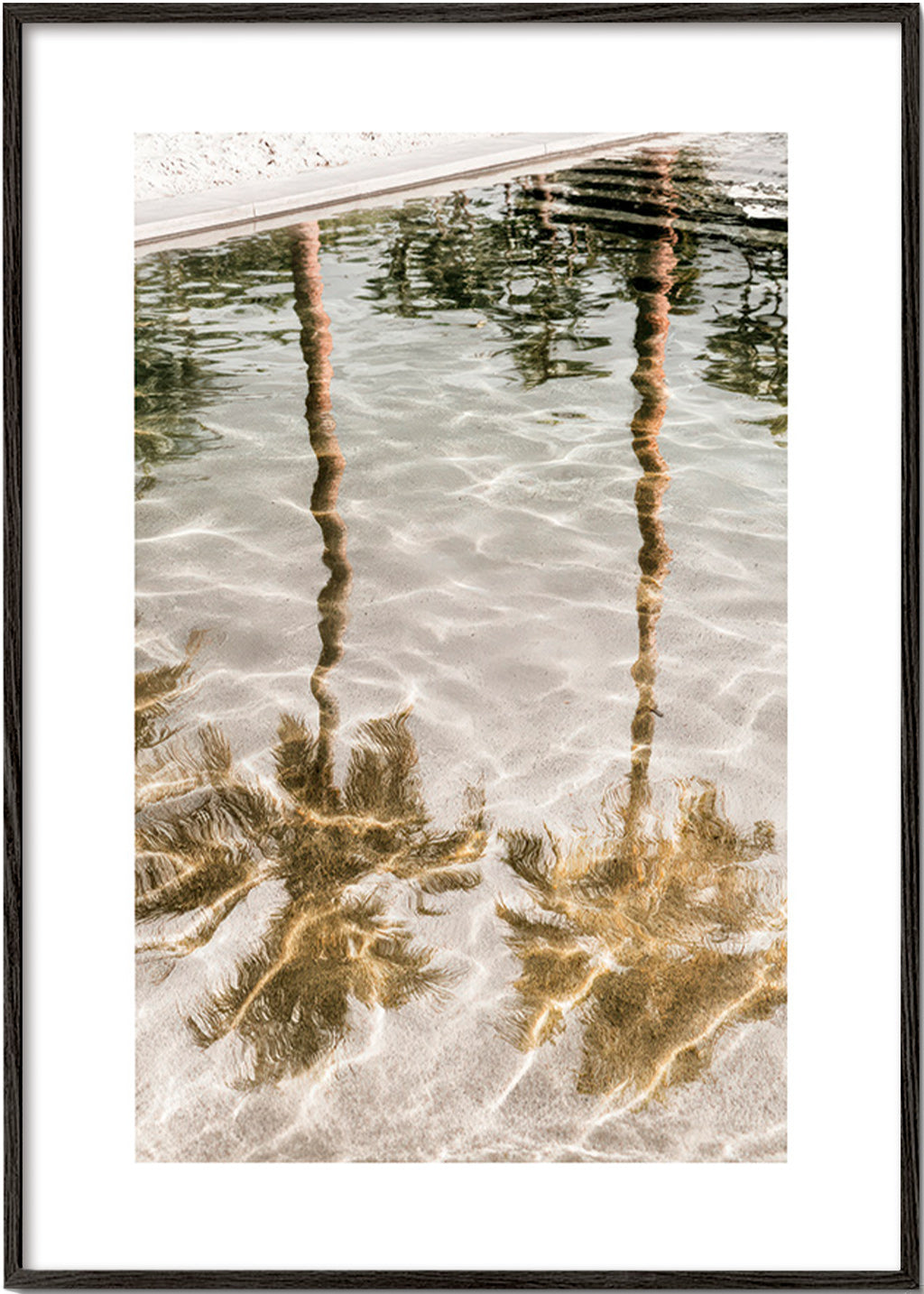 Landscape art: palm reflections in water