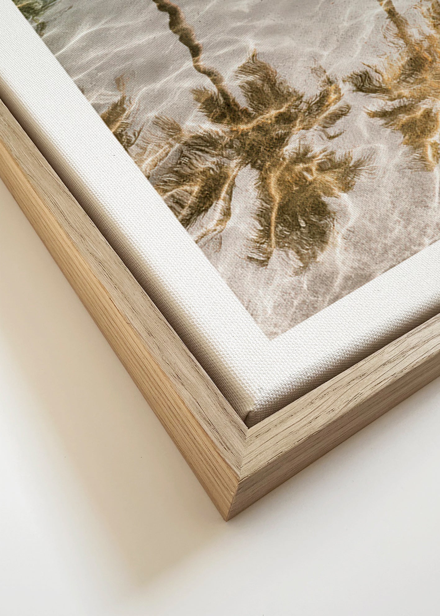 Landscape art: palm reflections in water