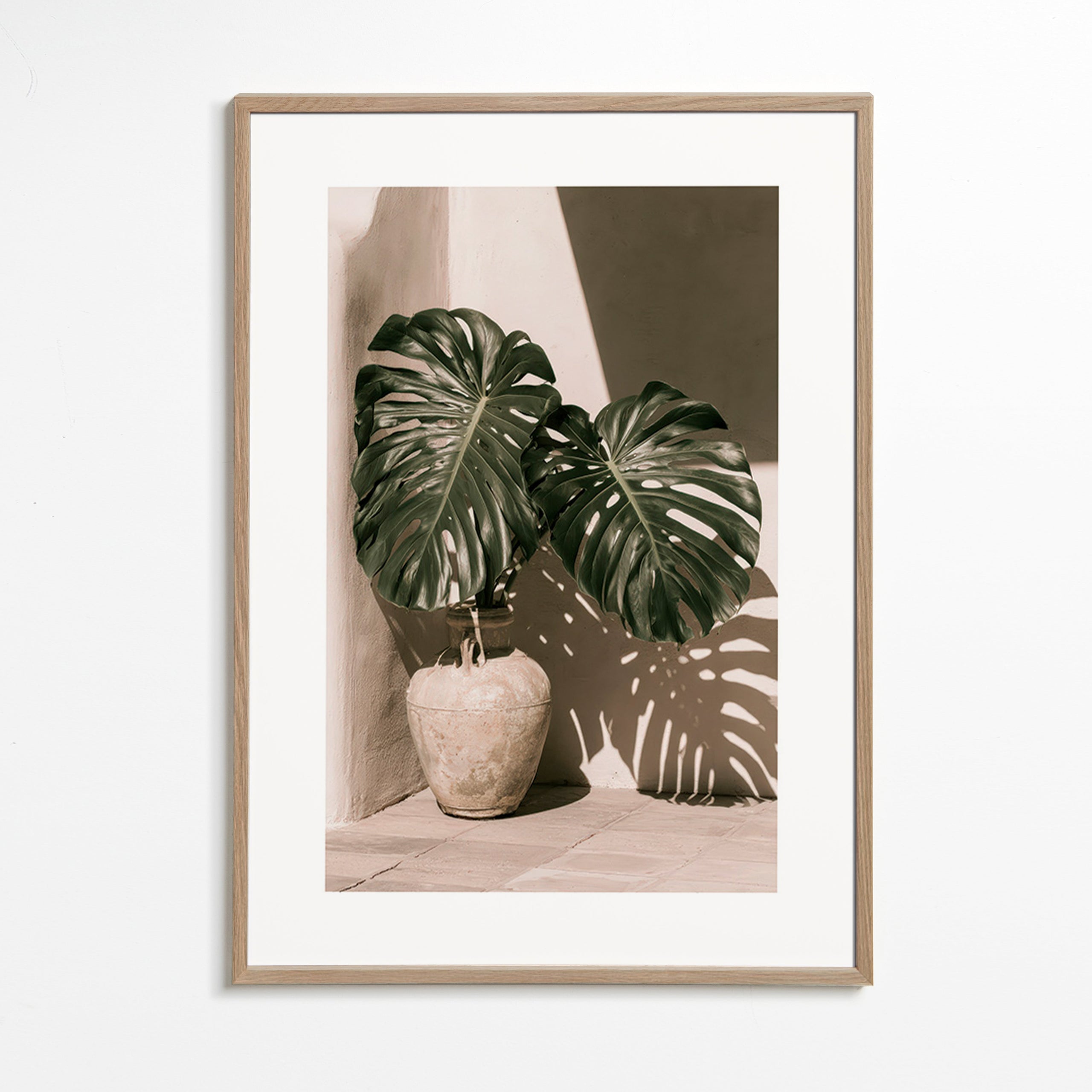 Botanical print Monstera pot study