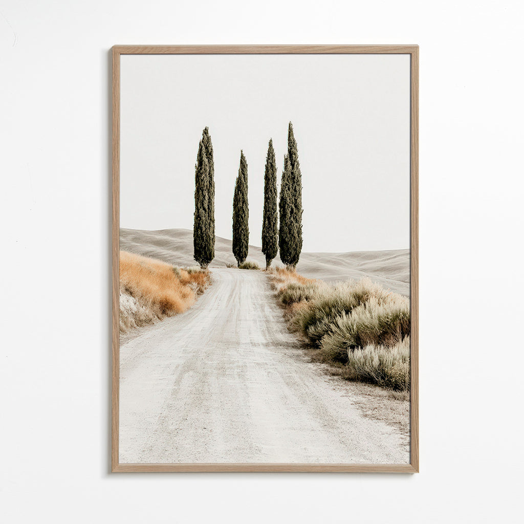 Landscape art: cypress lane on a dusty road