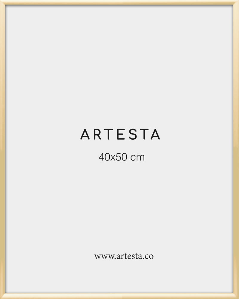 Gold frame 40x50cm