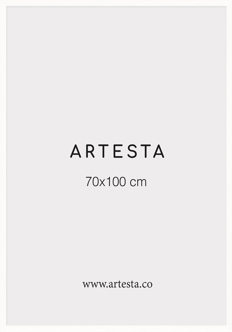 White frame 70x100cm