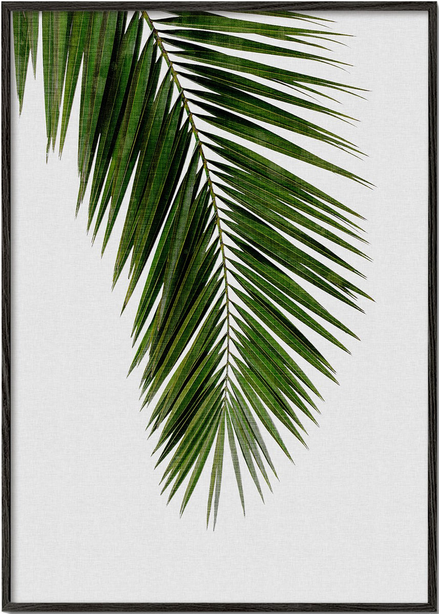 Botanical palm tree leaves art print on black and white - Modern art ...