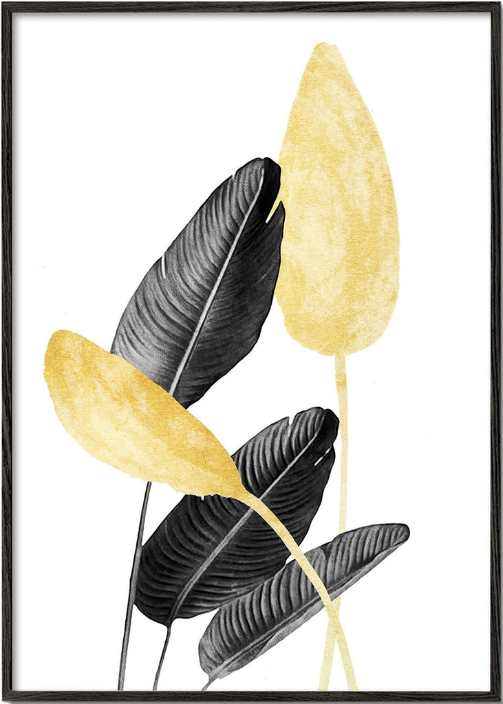 Bird of Paradise Plant Black, White and Gold 02