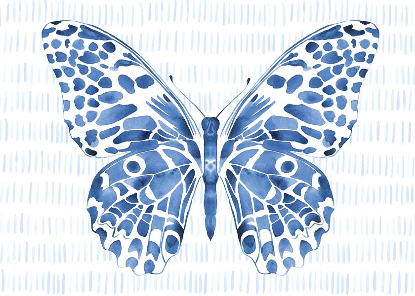 Blue butterfly