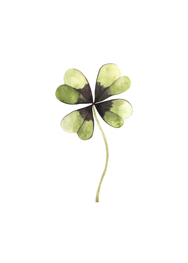 Lucky Clover