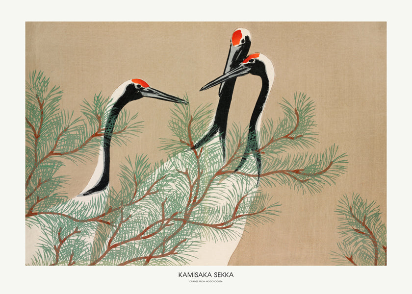 Cranes From Momoyogusa - Pictufy